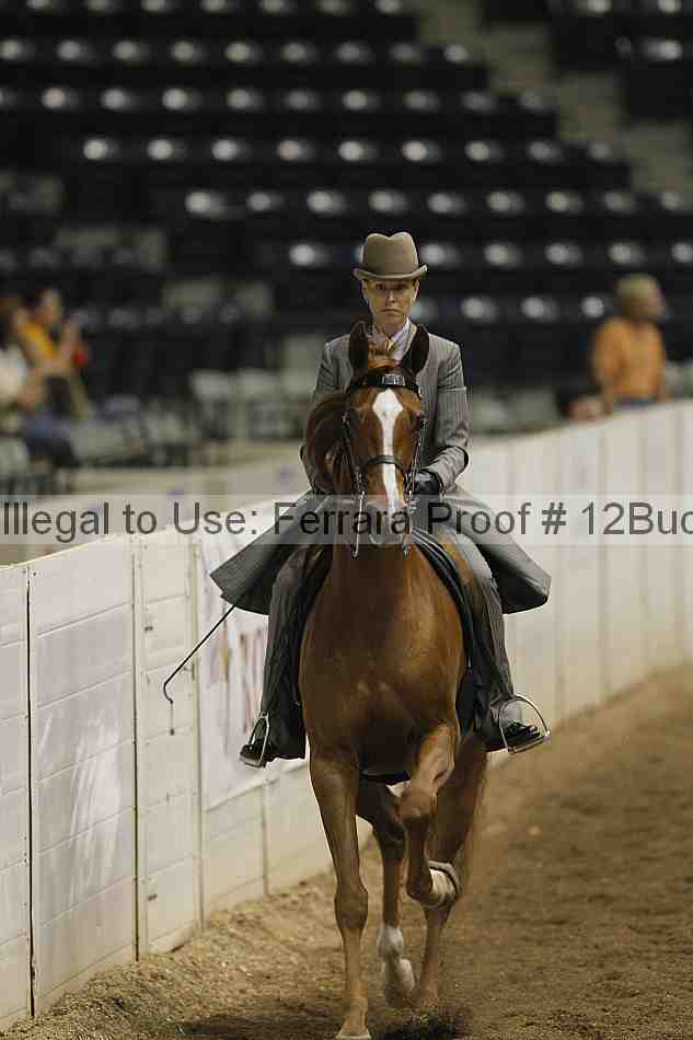 Proof Number 12buck_0261