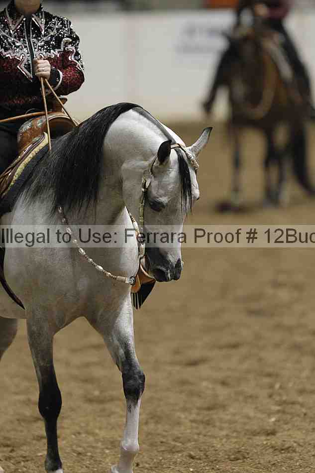 Proof Number 12buck_0275