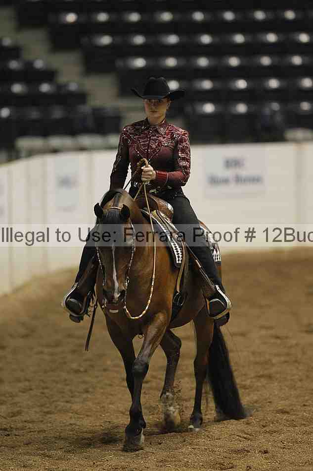 Proof Number 12buck_0276