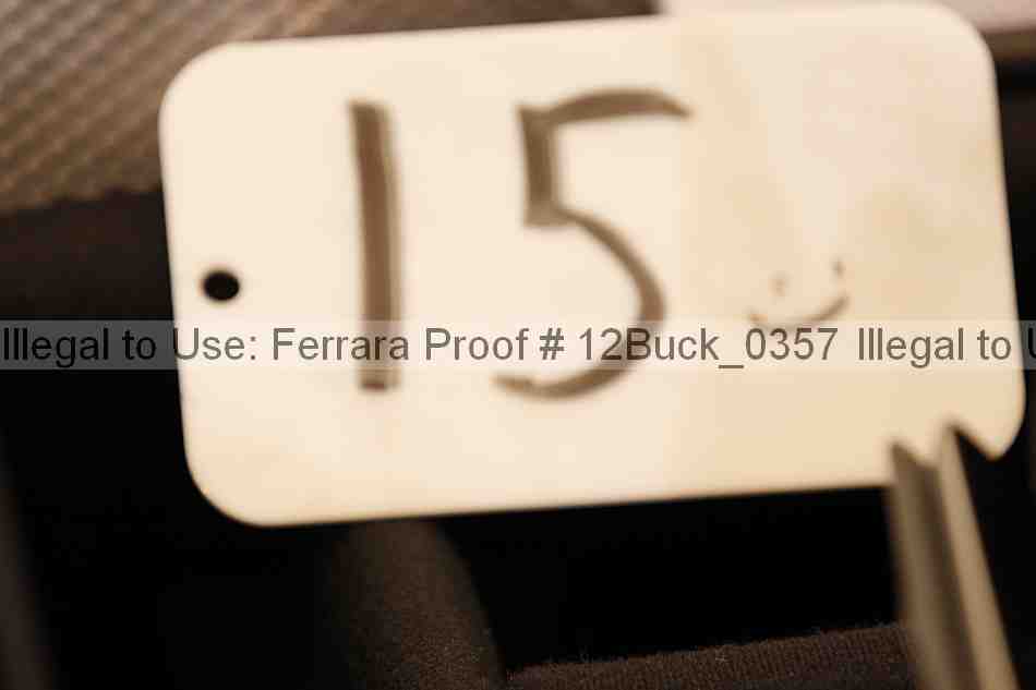 Proof Number 12buck_0357