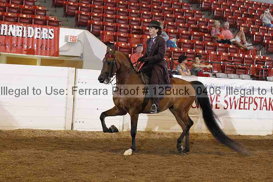 Proof Number 12buck_0406