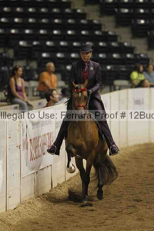 Proof Number 12buck_0410