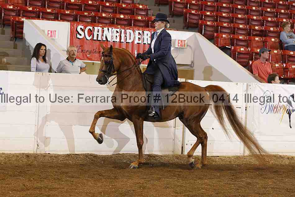 Proof Number 12buck_0414