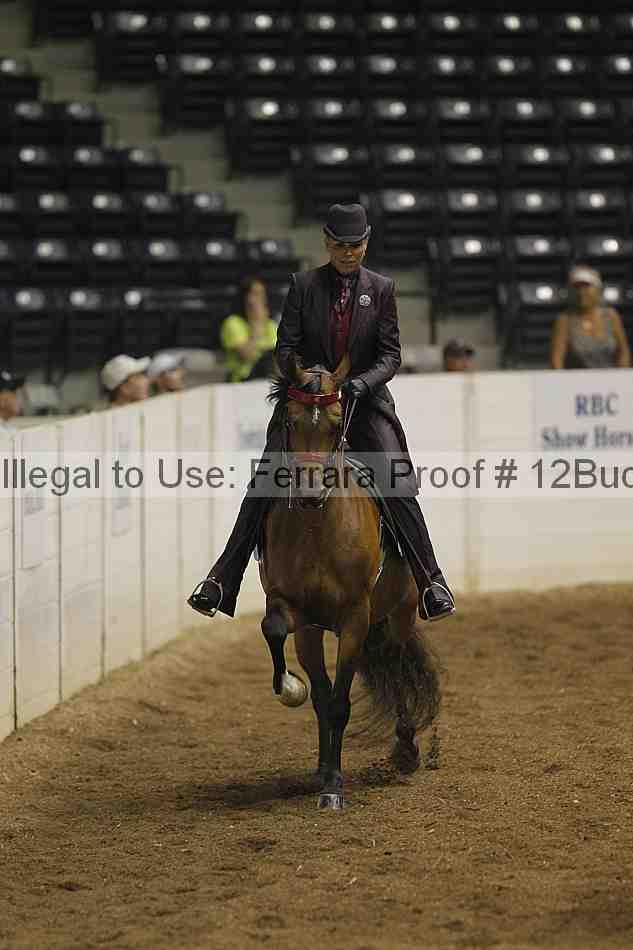 Proof Number 12buck_0419
