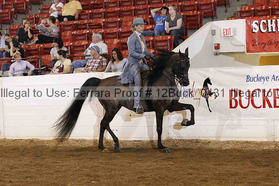 Proof Number 12buck_0431