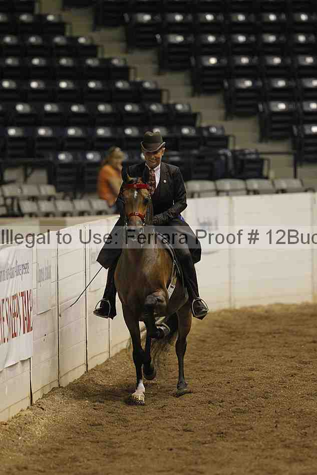 Proof Number 12buck_0515