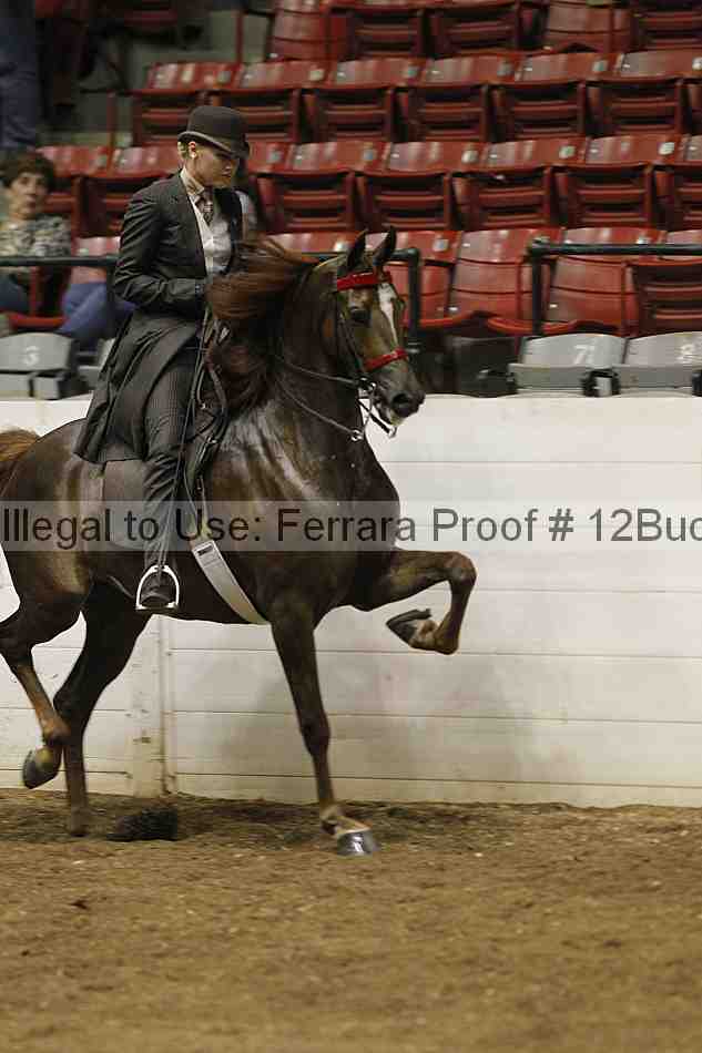 Proof Number 12buck_0552
