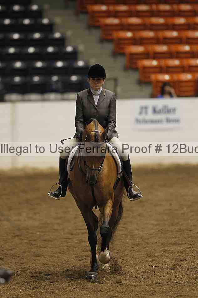 Proof Number 12buck_0587
