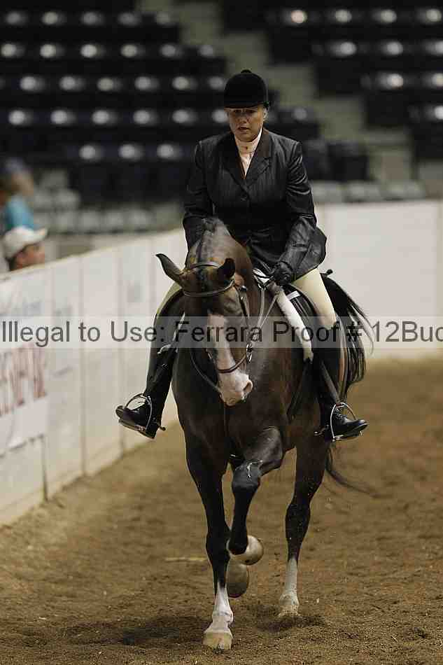 Proof Number 12buck_0608