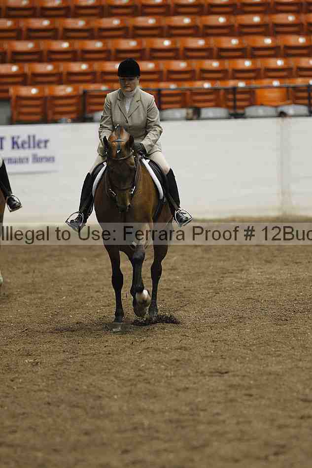 Proof Number 12buck_0620