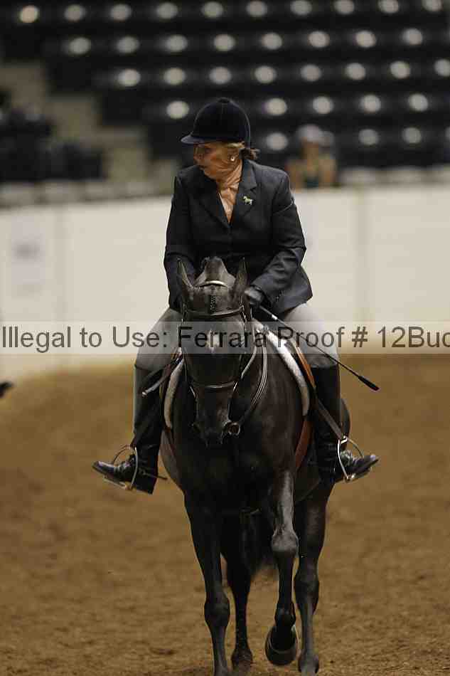 Proof Number 12buck_0635