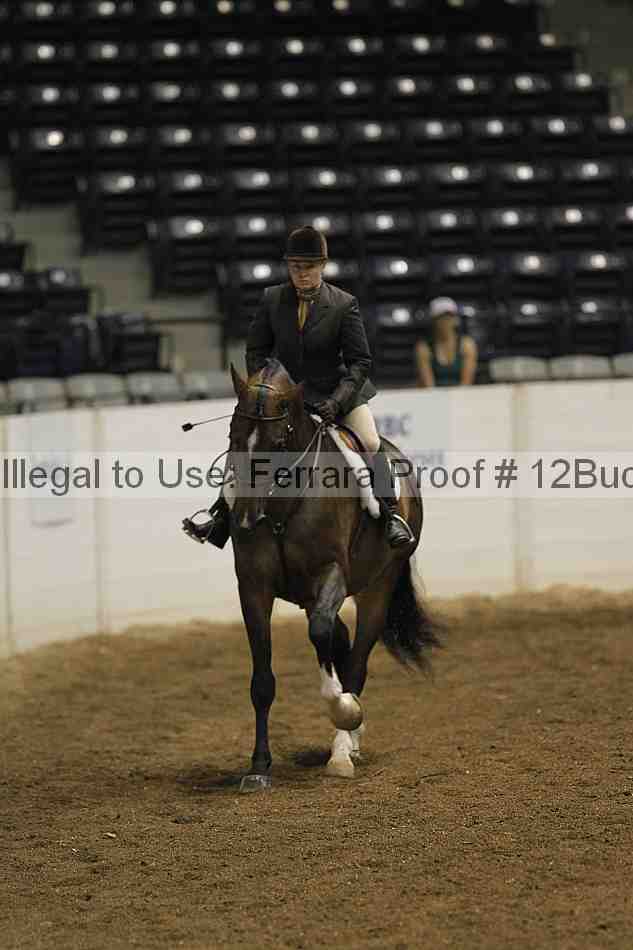 Proof Number 12buck_0640