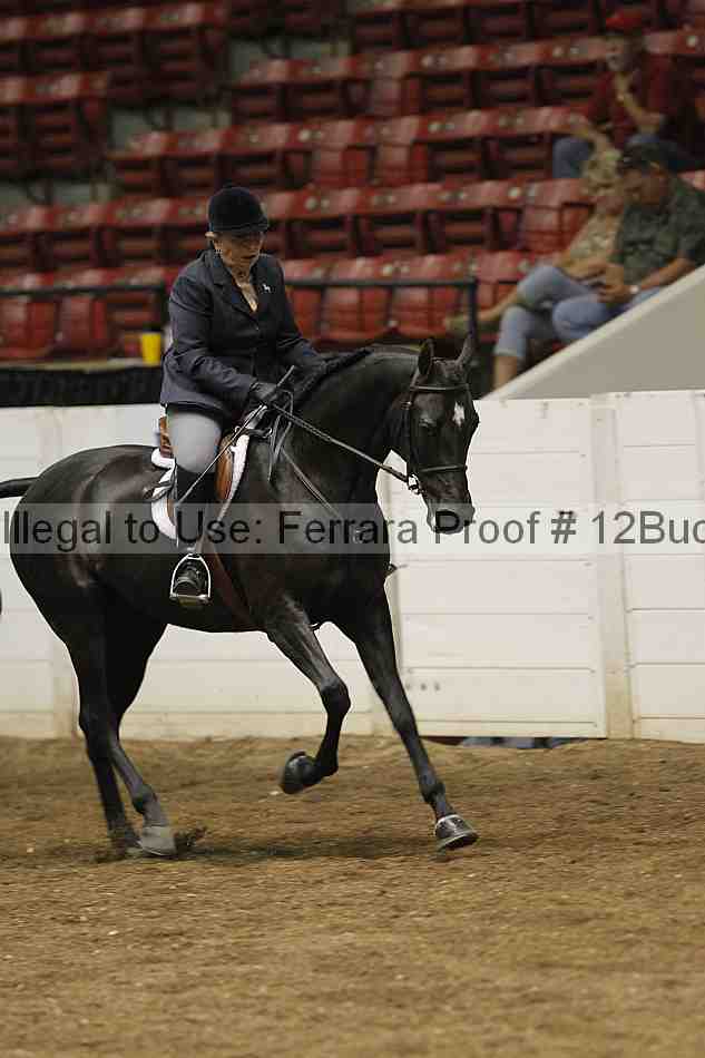 Proof Number 12buck_0645
