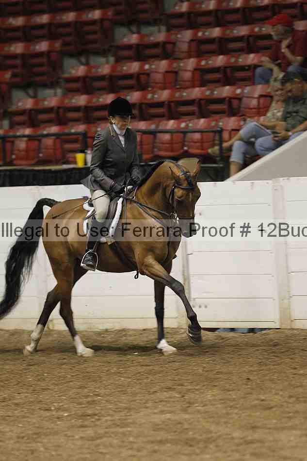 Proof Number 12buck_0651