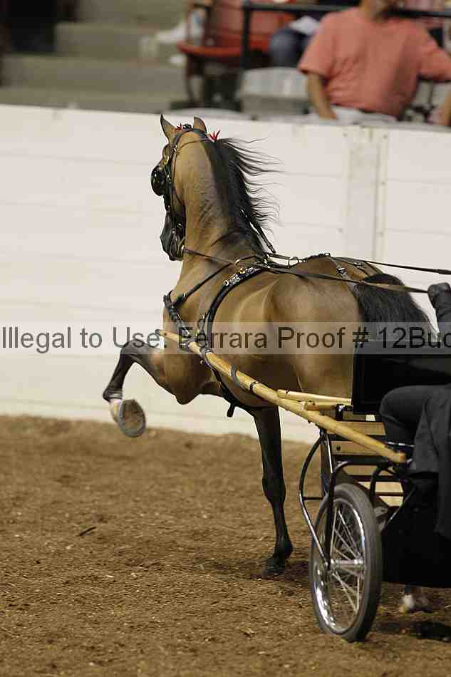 Proof Number 12buck_0664