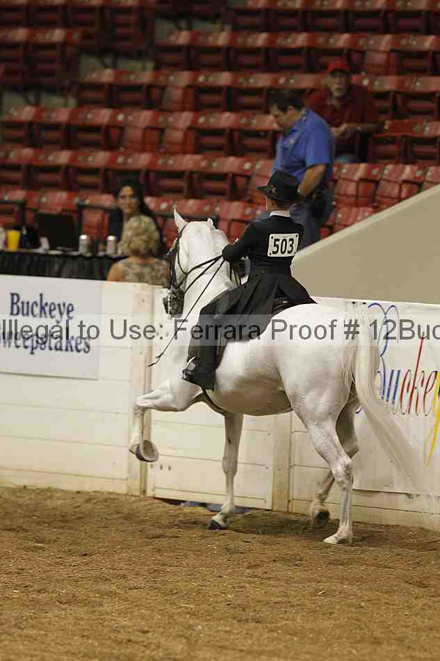 Proof Number 12buck_0711