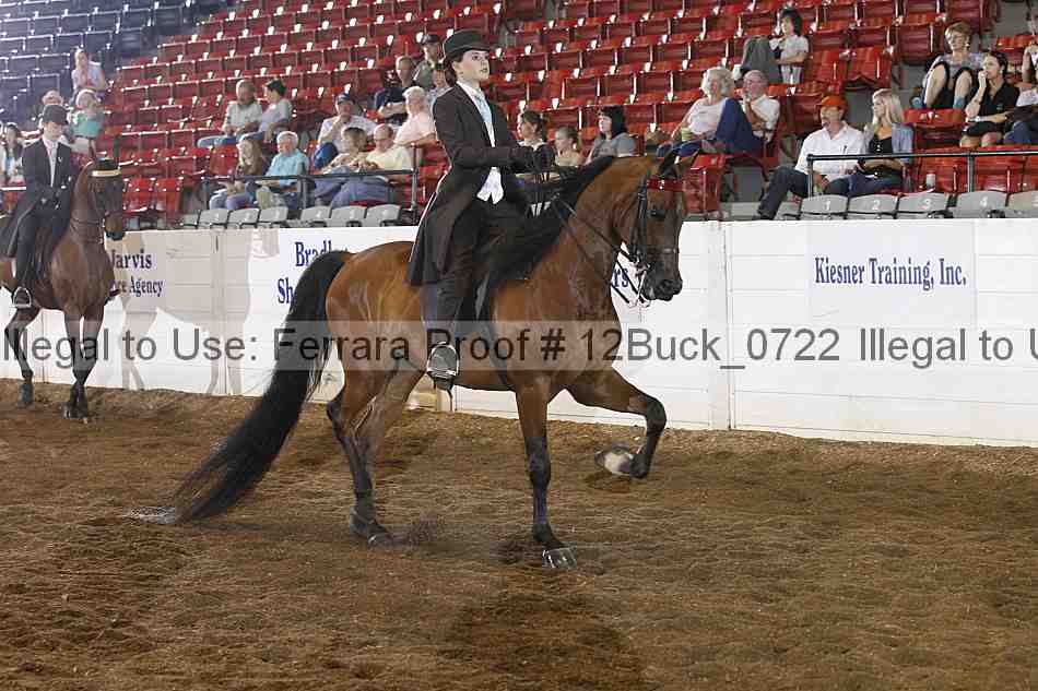 Proof Number 12buck_0722