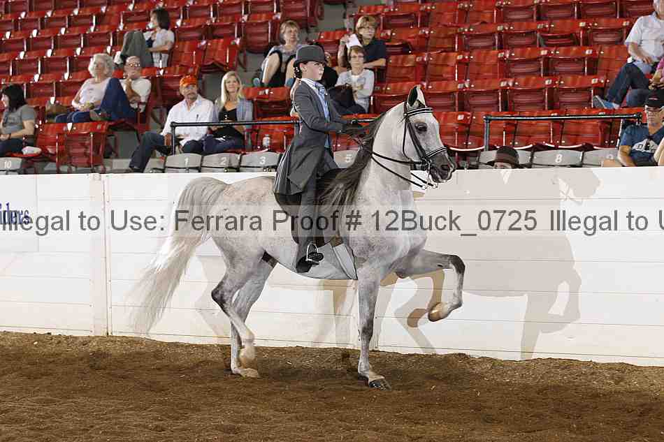 Proof Number 12buck_0725