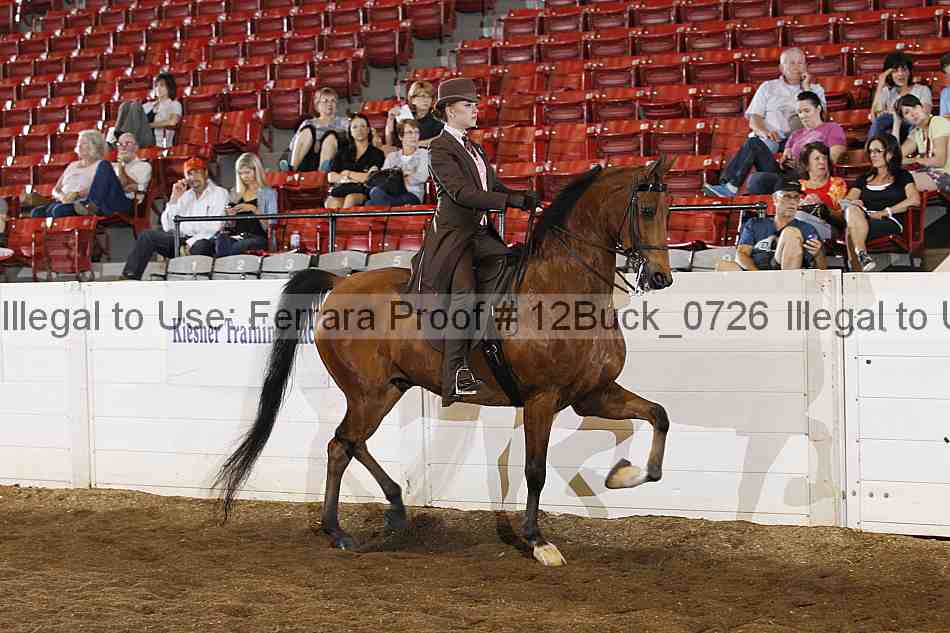 Proof Number 12buck_0726