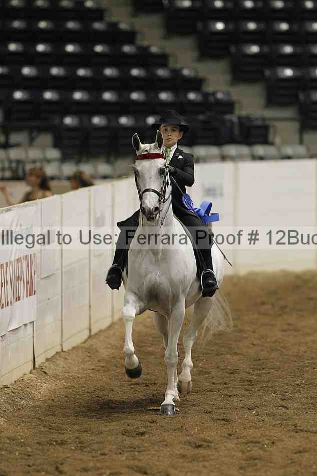 Proof Number 12buck_0730