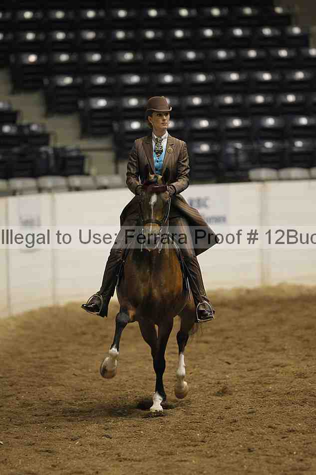 Proof Number 12buck_0734