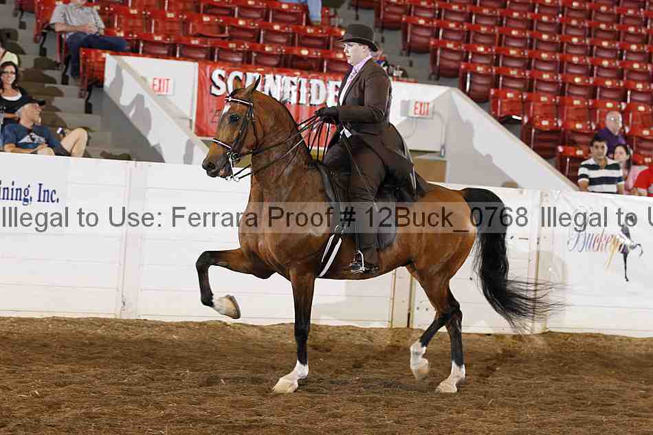Proof Number 12buck_0768