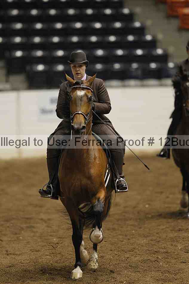 Proof Number 12buck_0769