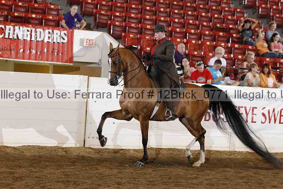 Proof Number 12buck_0771