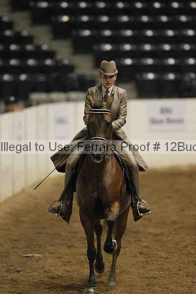 Proof Number 12buck_0777