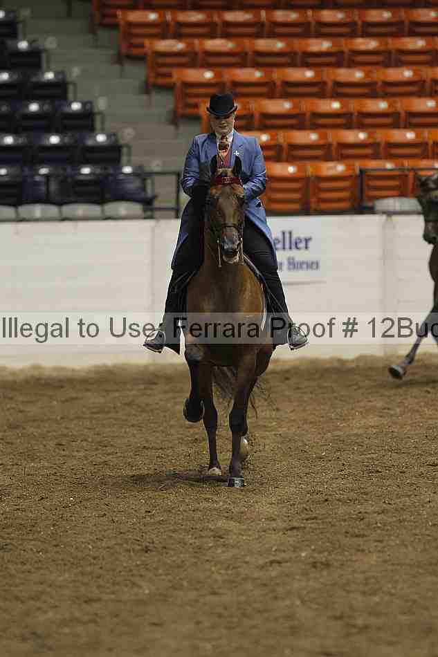 Proof Number 12buck_0780
