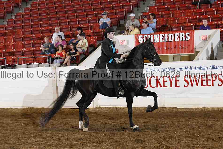 Proof Number 12buck_0828