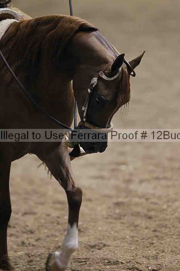 Proof Number 12buck_0859