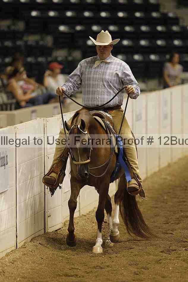 Proof Number 12buck_0865