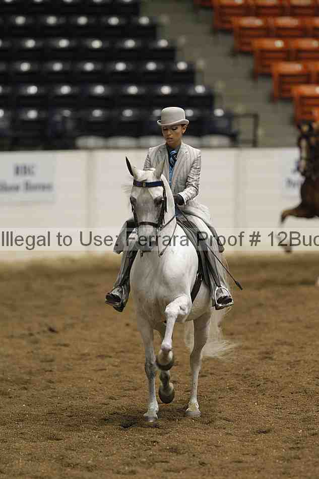 Proof Number 12buck_0874