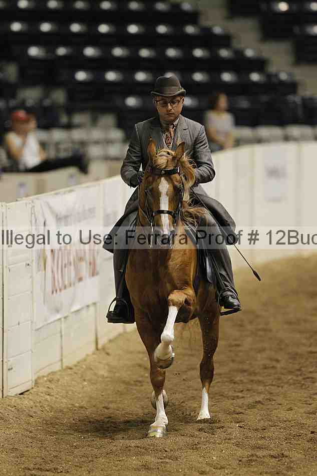 Proof Number 12buck_0888