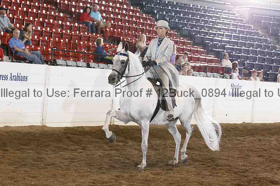 Proof Number 12buck_0894