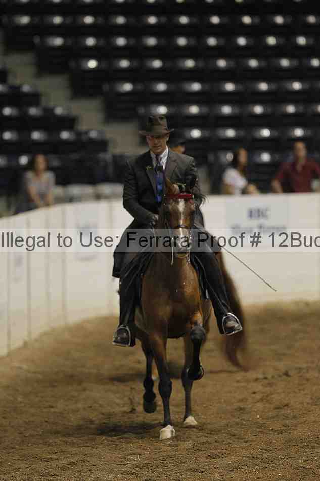 Proof Number 12buck_0897