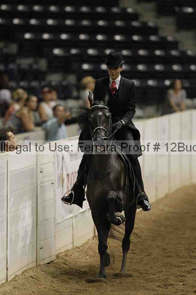 Proof Number 12buck_0899