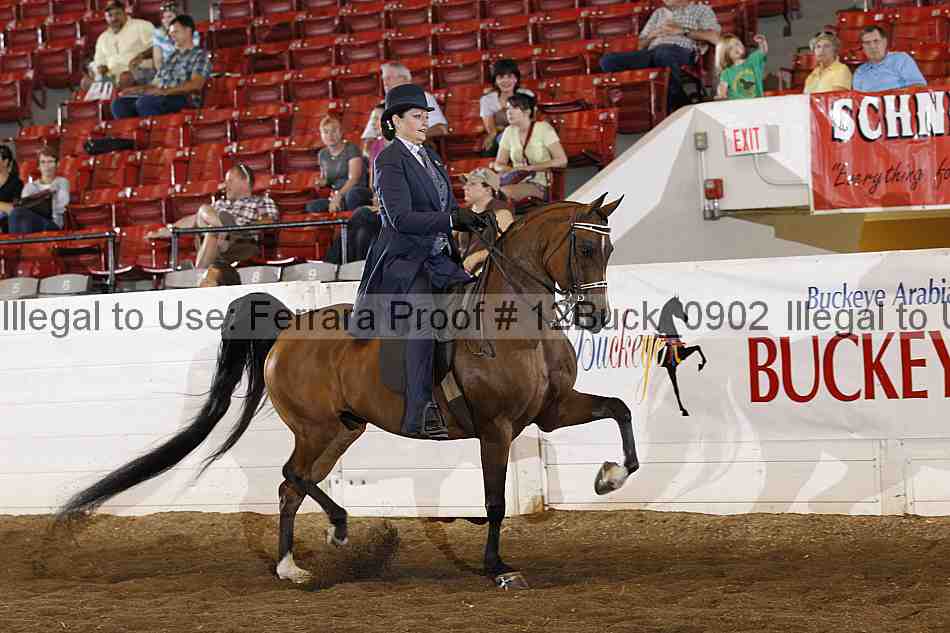 Proof Number 12buck_0902