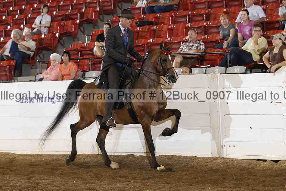 Proof Number 12buck_0907