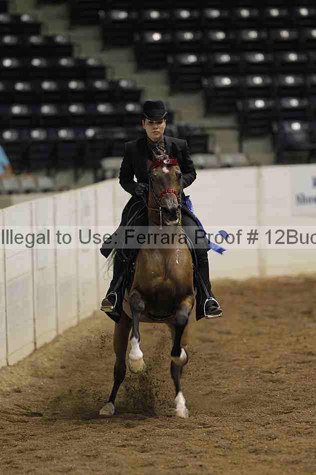 Proof Number 12buck_0911