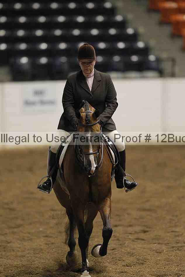 Proof Number 12buck_0922