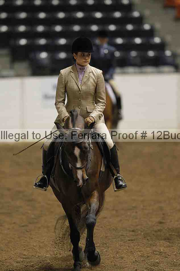 Proof Number 12buck_0960