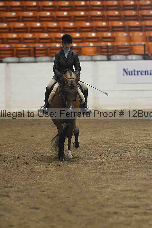 Proof Number 12buck_0961