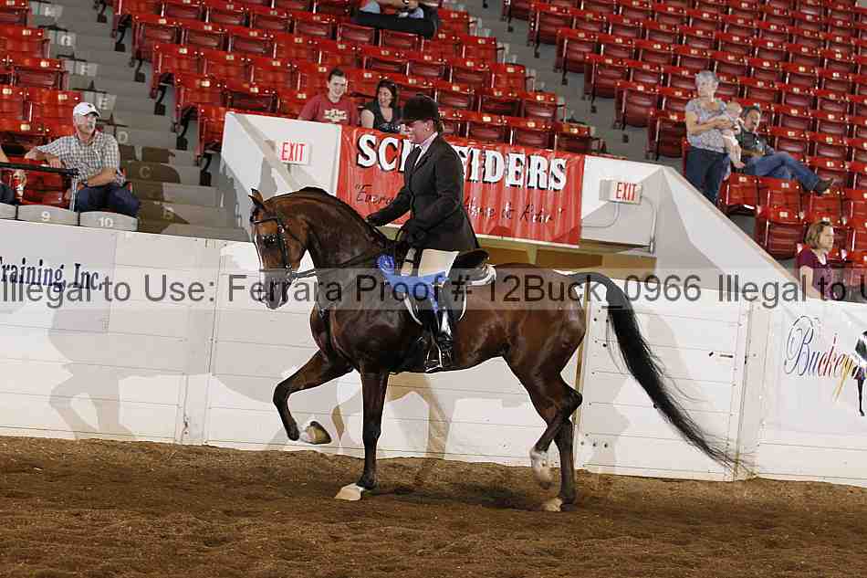 Proof Number 12buck_0966