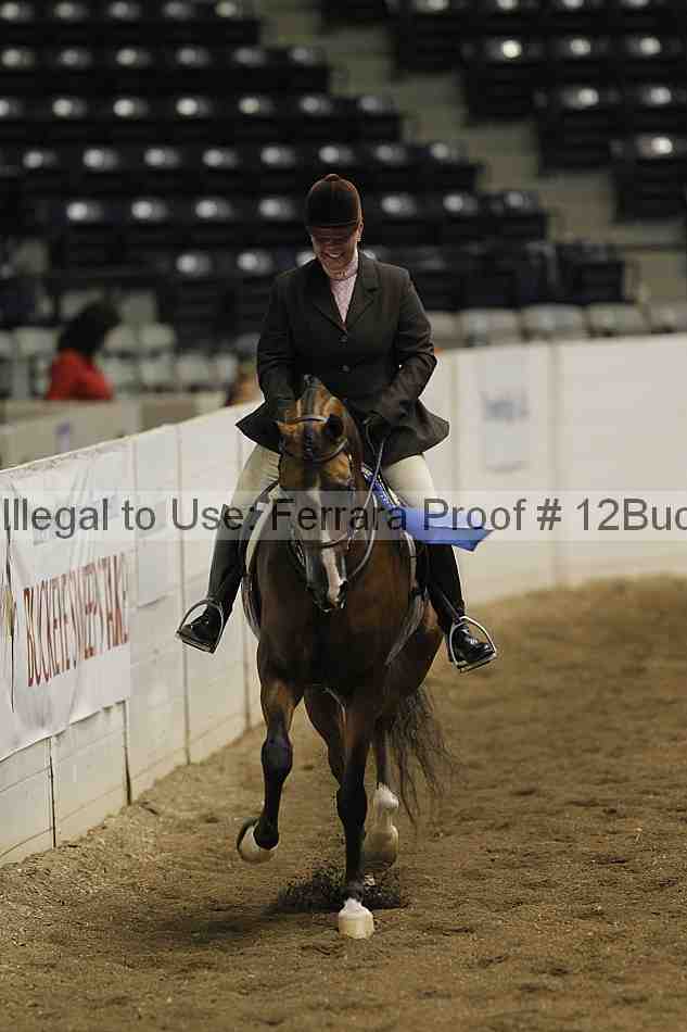 Proof Number 12buck_0968