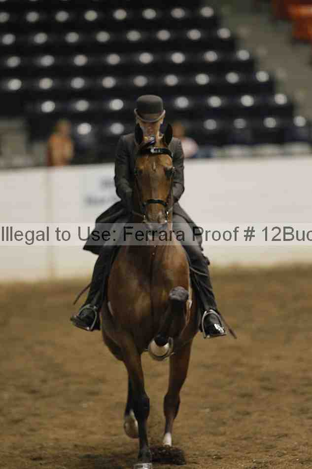 Proof Number 12buck_0973