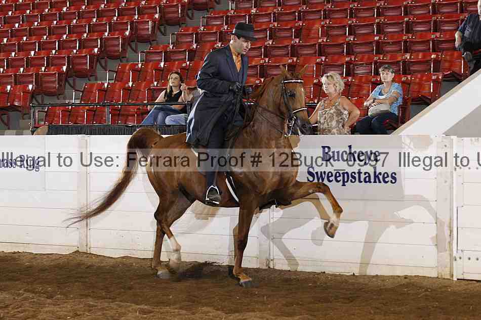 Proof Number 12buck_0997