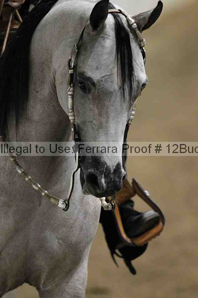 Proof Number 12buck_1083