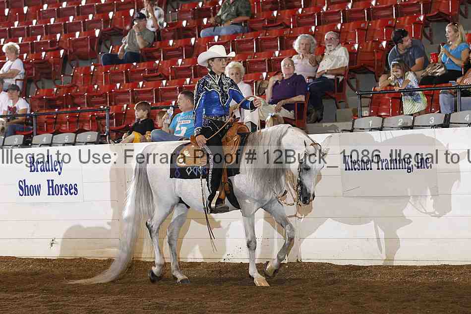Proof Number 12buck_1086